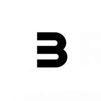 BRADAS B.V. logo - Similar company to Mind Into Matter