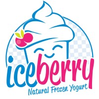Iceberry Türkiye logo - Similar company to Ice Berry Doo