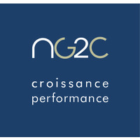 NG2C logo - Similar company to Ng2