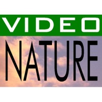 VIDEO NATURE logo - Similar company to Bio-Protocol