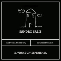 Sandro Salis logo - Similar company to Ametyst