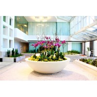 The Plant Place, Inc. logo - Similar company to Naturspire, Llc