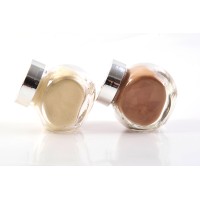 Changsha Vigorous-tech Co., Ltd. logo - Similar company to Vigorous-Tech