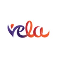 Vela Canada logo - Similar company to Pvs Buttar Cpa'S