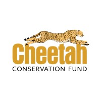 Cheetah Conservation Fund logo - Similar company to Snow Leopard Trust