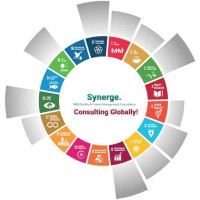 Synerge. | Consulting Globally! logo - Similar company to Chromatic