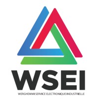 wsei.electronics logo - Similar company to Smart Waves Technologies