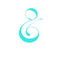 Salt Republik logo - Similar company to The Investment Company