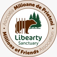 AMP Libearty Bear Sanctuary logo - Similar company to Little Bear Sanctuary, Inc.