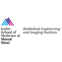 Biomedical Engineering And Imaging Institute (Bmeii)