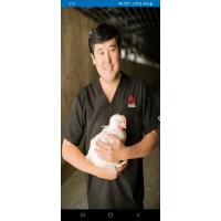 Poultry Network With GG logo - Similar company to Keggs