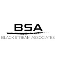 BSA - Black Stream Associates logo - Similar company to Brd Brasil Distressed
