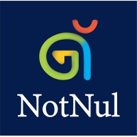 NotNul logo - Similar company to Steptika