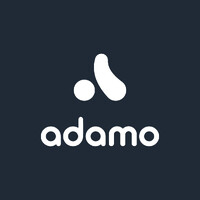Adamo Services logo - Similar company to Holdingsbpo