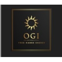 OGI Solar logo - Similar company to Sundamental