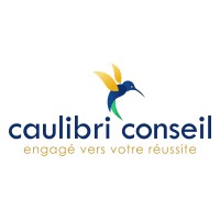 CAULIBRI CONSEIL logo - Similar company to Saïd Together