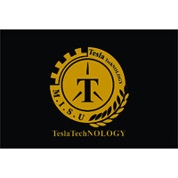 Ava Sepanta Tesla Tech logo - Related company intelligence peer for LS Electronics Group