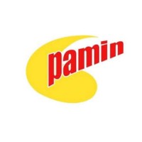 PT. PACIFIC MEDAN INDUSTRI logo - Similar company to Pt Mark Dynamics Indonesia Tbk