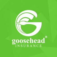The Considine Agency - Goosehead Insurance logo - Similar company to Balance U Llc