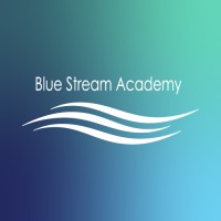 Blue Stream Academy logo - Similar company to Careskills Academy