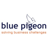 Blue Pigeon Consulting logo - Similar company to White Code Labs