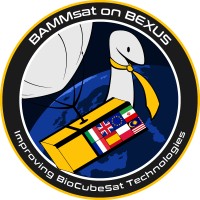 BAMMsat on BEXUS logo - Similar company to Space Pioneers Association