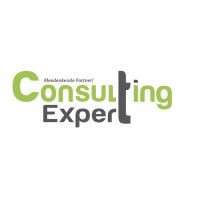 Consulting Expert