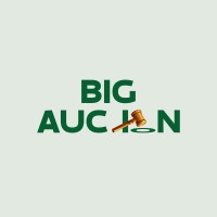 BigAuction logo - Similar company to Nextrday