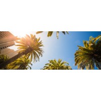 PURE COMMERCIAL REAL ESTATE TEAM