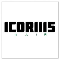 ICORIIIS logo - Similar company to Summit Behavioral Services
