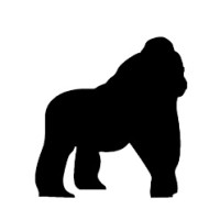 Takamanda Kakao logo - Similar company to Dfi-Goethe