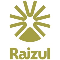 Raizul logo - Similar company to Impossible Code