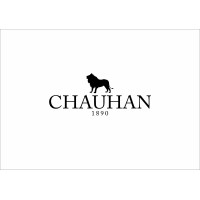 CHAUHAN logo - Similar company to Kfs - Now Part Of Metso