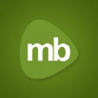 Magnet Brains Software Tech. Pvt. Ltd logo - Similar company to Mapit.Ai