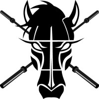 Dark Horse Athlete logo - Similar company to G2 Diving, Inc