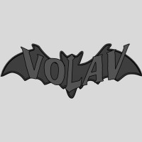 VolaV logo - Similar company to Mobbit Iot Enabler