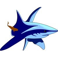 Remora Oil & Gas, LLC logo - Similar company to Lce Projects E.I.R.L.