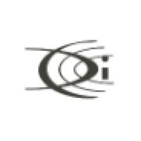 Vision Chips, Inc.