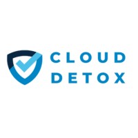 CloudDetox logo - Similar company to Digiicodes