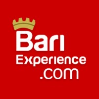 BariExperience.com logo - Similar company to Springboot Academy