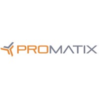 PROMATIX logo - Similar company to Dynamic Professionals