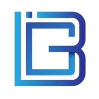 Bold Industries Group logo - Similar company to Mtc Consulting