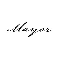 Mayor logo - Similar company to Ai Guy