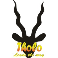 Tholo Leads the Way CC logo - Similar company to Tinotv Entertainment