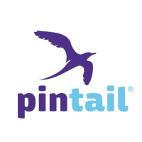 Pintail AG Vaduz (Liechtenstein) logo - Similar company to Startup Platform Liechtenstein