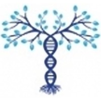 21 Pharma Ltd logo - Similar company to Egg Insight