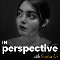 IN Perspective logo - Similar company to Virtubox Infotech Pvt. Ltd.