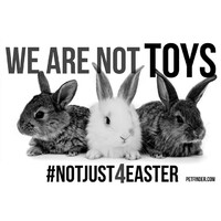 Bunn-411 (Formerly Space Coast Animal Rights) logo - Similar company to The Rabbit Sanctuary