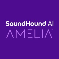 Amelia Iberia and Latam logo - Similar company to Dotx