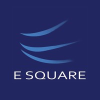 E Square System & Technologies Pvt Ltd. logo - Similar company to Seofied International